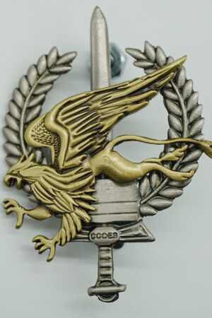 ESCUDOS PARA BOINA COOES