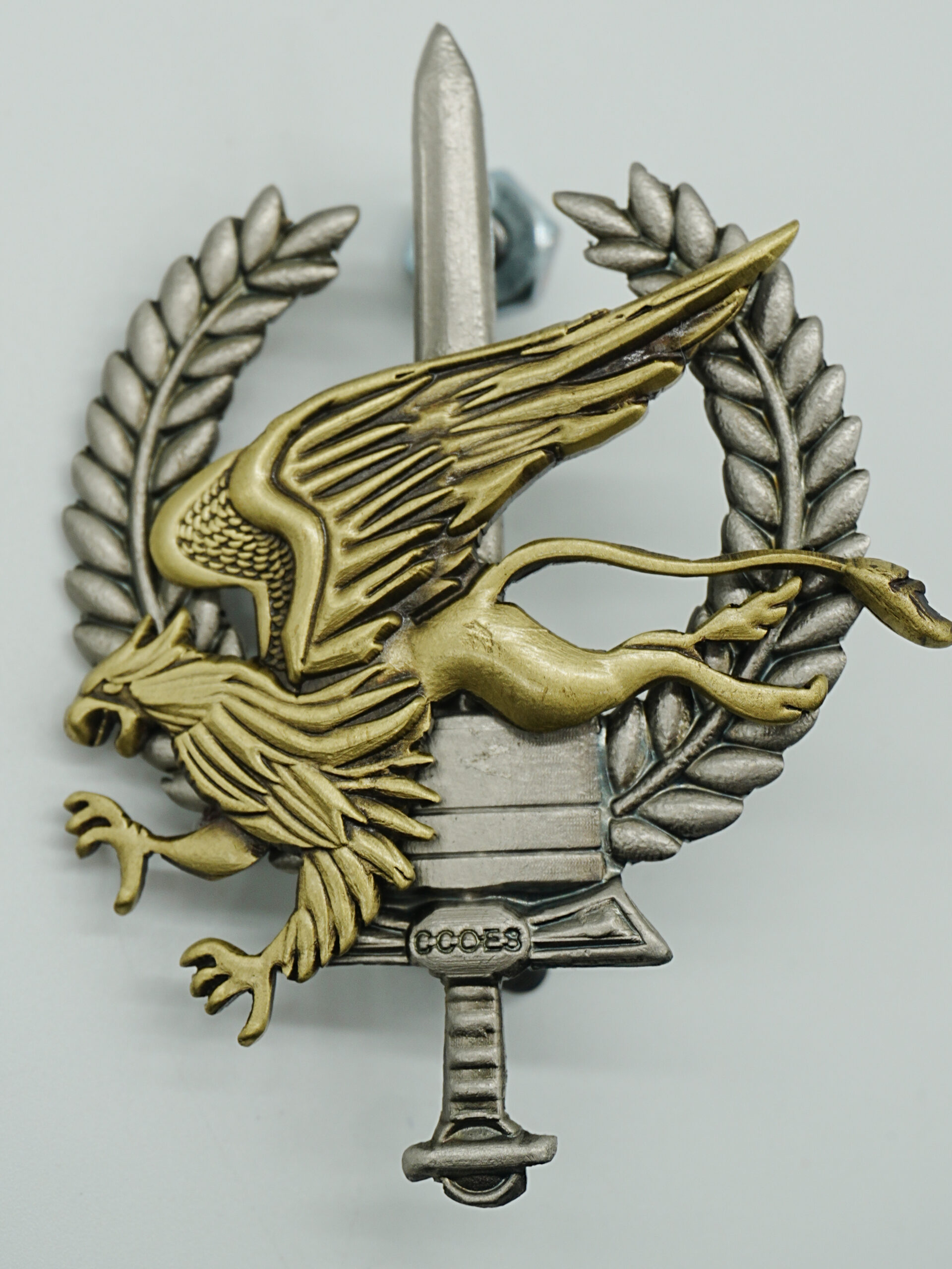 ESCUDOS PARA BOINA COOES